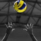 VProVolley