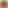 𝐆𝐨𝐥𝐝_𝐕𝐢𝐩 😎