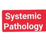عمر الطاهر Systemic Pathology