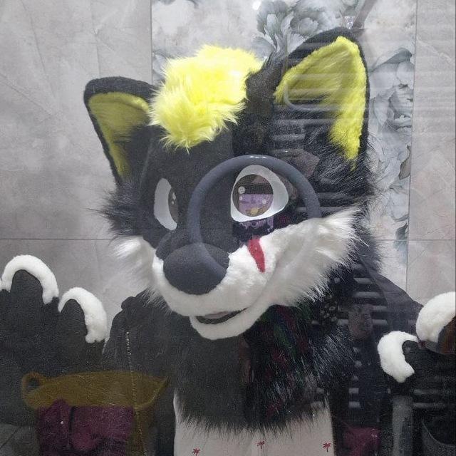 🦊Lisi Zajafax Posting 🇵🇱