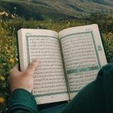 دَارُ ٱلسَّلَامِ
