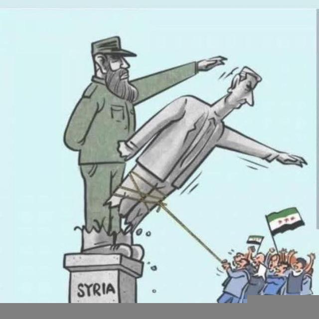 زيتون