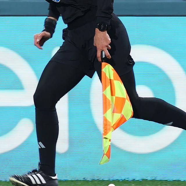 Referees Opinion