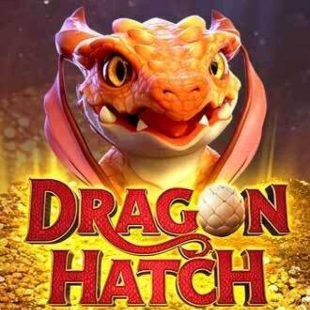 DRAGON HATCH SINAL BOT SINAIS