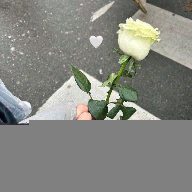 عافيتي♥