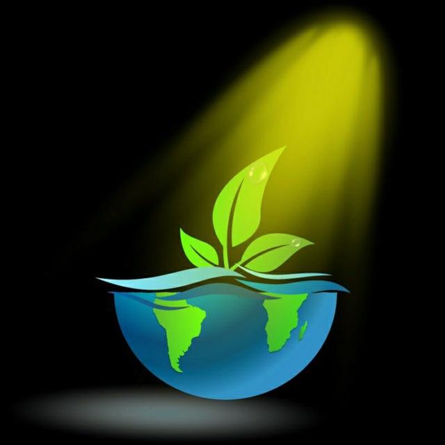 Environmental science and Engineering