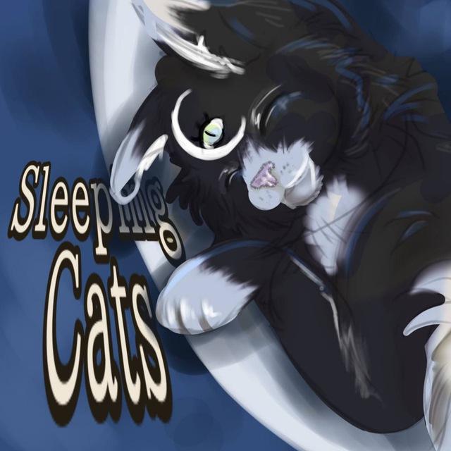 ꜱʟᴇᴇᴘɪɴɢ ᴄᴀᴛꜱ💤ᴄʜᴀɴɴᴇʟ