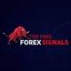 XM GOLD AND FOREX SCALPING SIGNALS