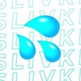 SLIVKI