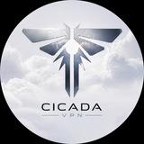 CICADA.MESH