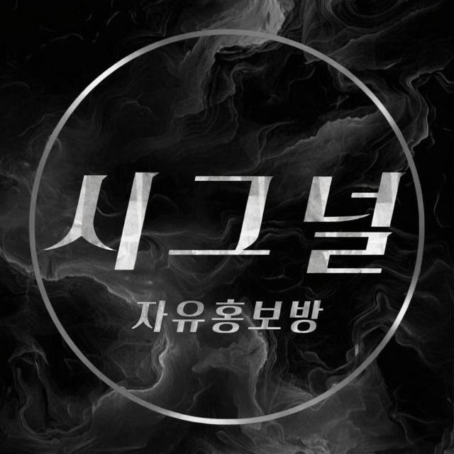 시그널 (자유홍보방)