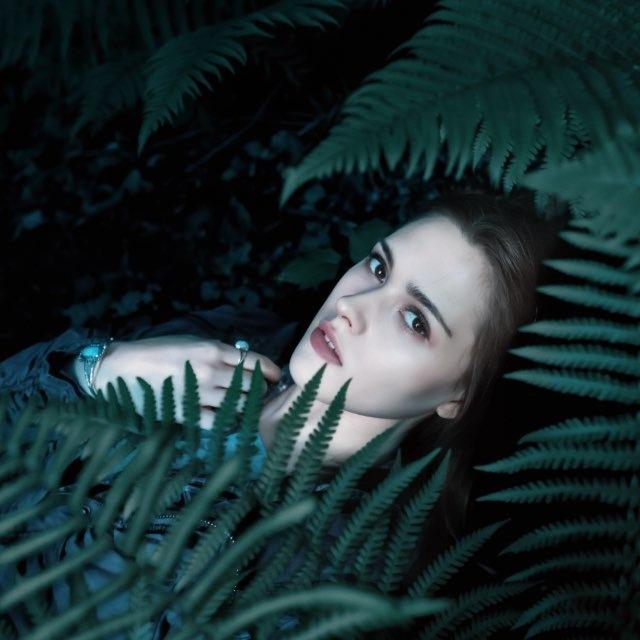 𝐒𝐨𝐟𝐢𝐚𝐒𝐰𝐚𝐧🌲