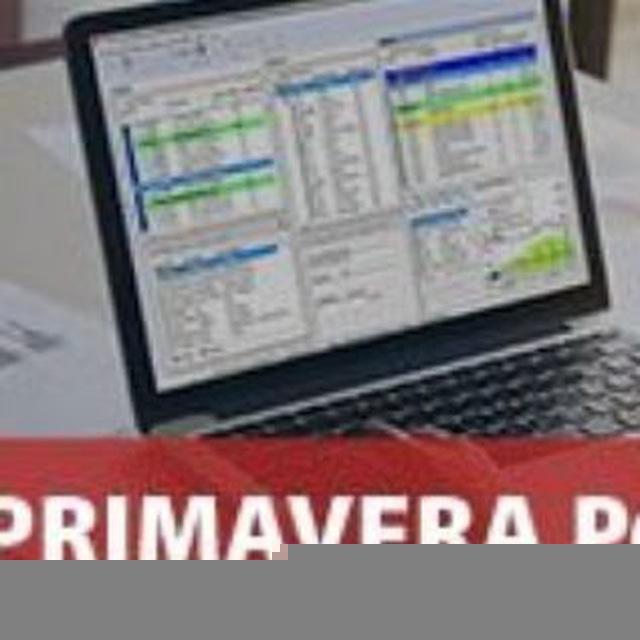ICIP - CURSO PRIMAVERA P6 -BASICO - AVANZADO