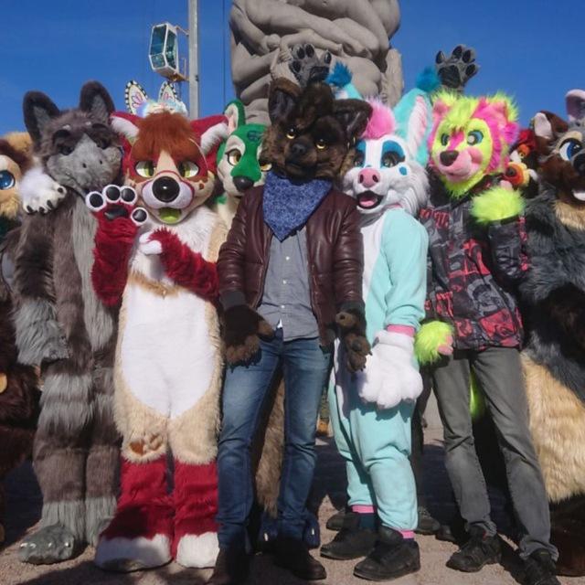 Furmeets Norge