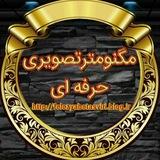 مگنومتر تصویری حرفه ای
