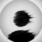 لمنع اندثار الحياء
