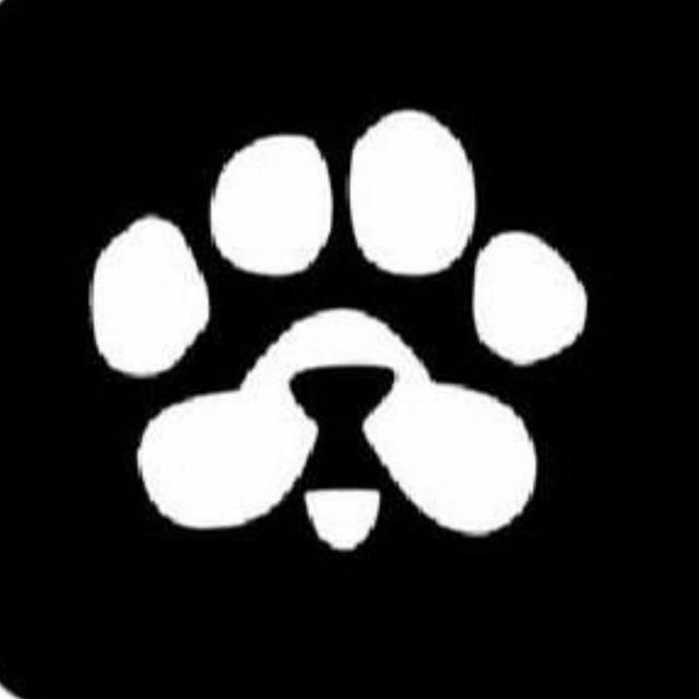 MR Airdrop/PAWS