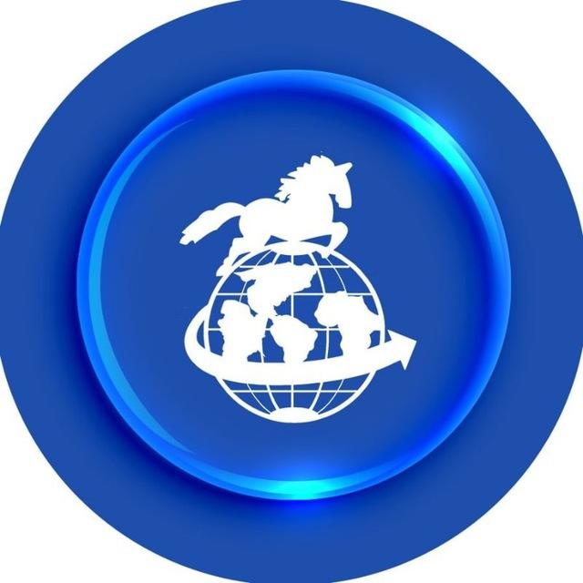 آذرگشت ملکی0413137