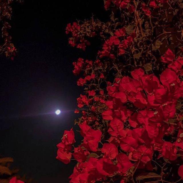 𝐌𝐮𝐳𝐳𝐳.𝐊𝐳𝐳𝐳 🥀