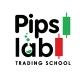 PIPS LAB TRADING SCHOOL