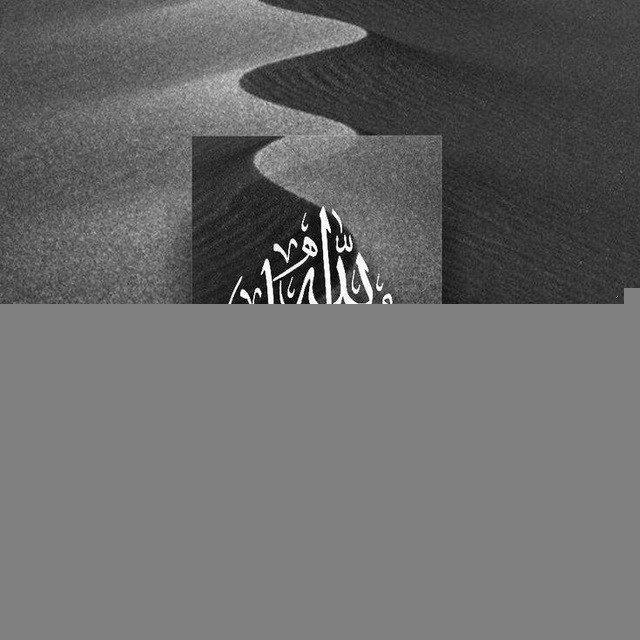 • قرآن | Quran •