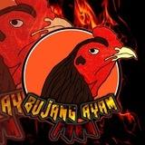 Bujang ayam farm