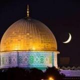 حڪايـ¹⁰صمود⁷ـــة
