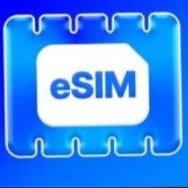 수발신 ESIM, 010비실명