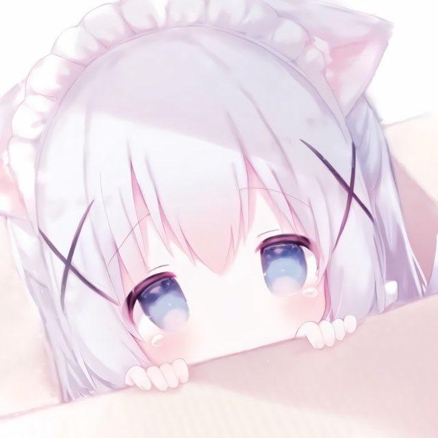 吱吱の后宫🐹