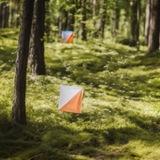 OrienteeringSportRussia