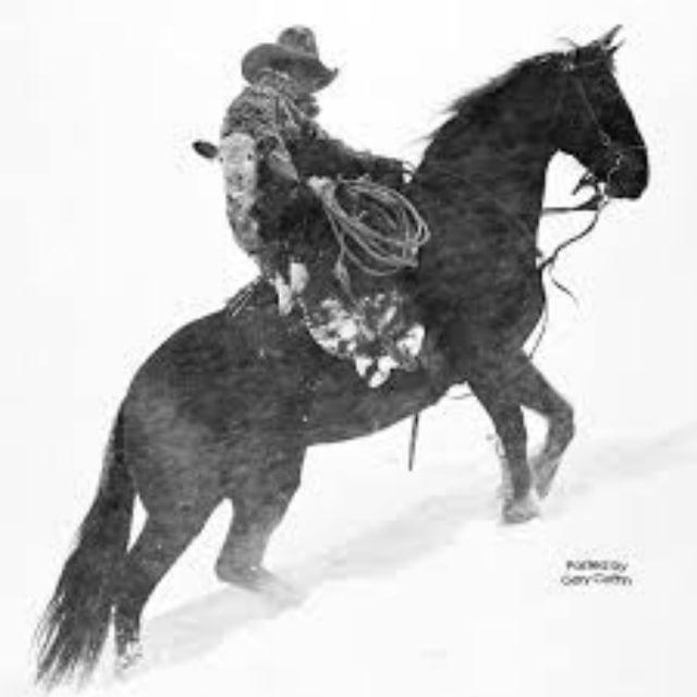 crow's calls