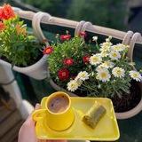 قهوتي coffee