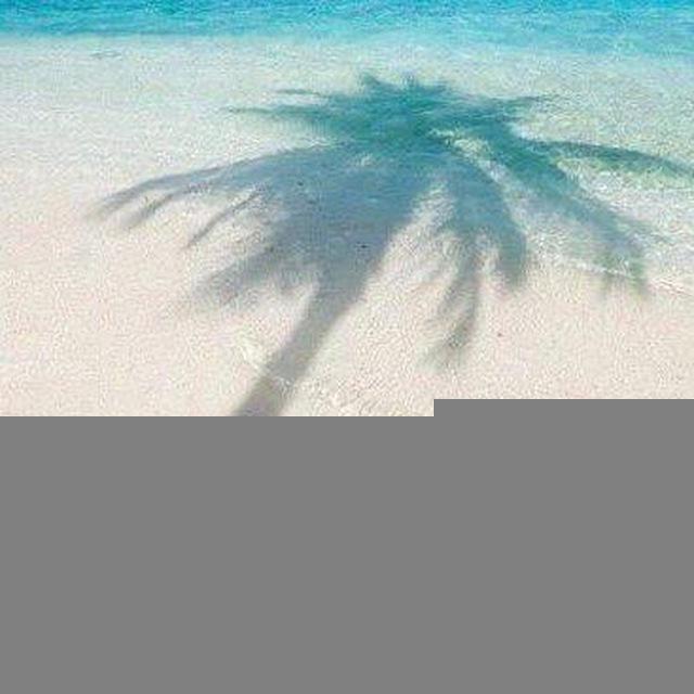 .27/04 ❀.. (summer) gentle waves and sea breeze created perfect harmony. this balance brought peace and happiness.