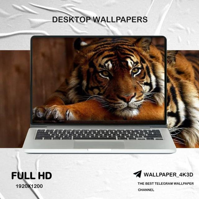 Laptop Wallpaper
