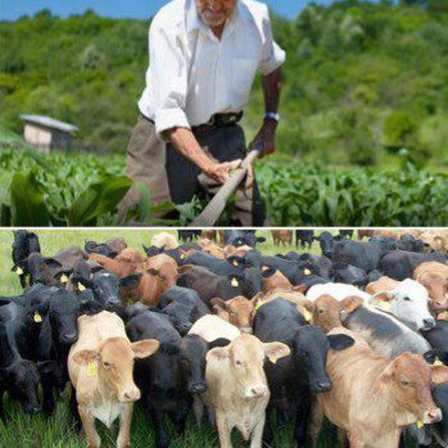 🇪🇸 Agricultores y Ganaderos en España
