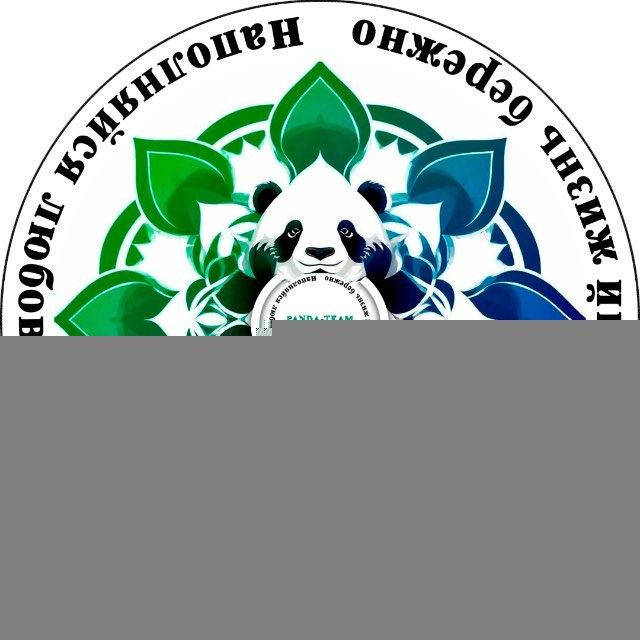 Panda Team|Центр развития души