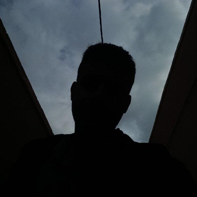 𝑷𝒂𝒑𝒊𝒍𝒍𝒐𝒏