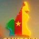SCHEMA_info237🇨🇲👆👆