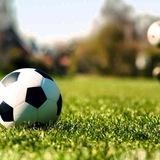 1xbet winning tip's(India)