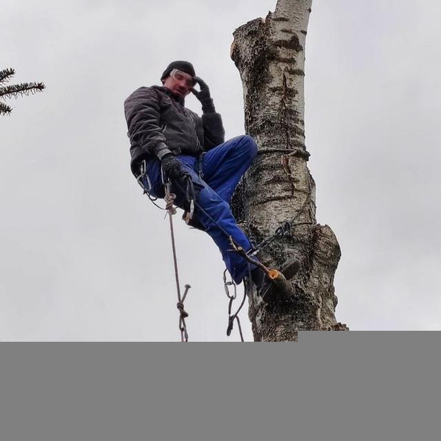 Барсук спилит сук 🪚
