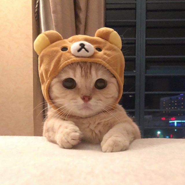 GIAO LƯU BÀN LUẬN
