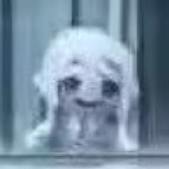 嘻嘻