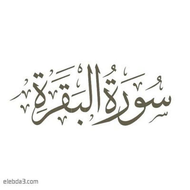 قصص سورة البقرة💚✨