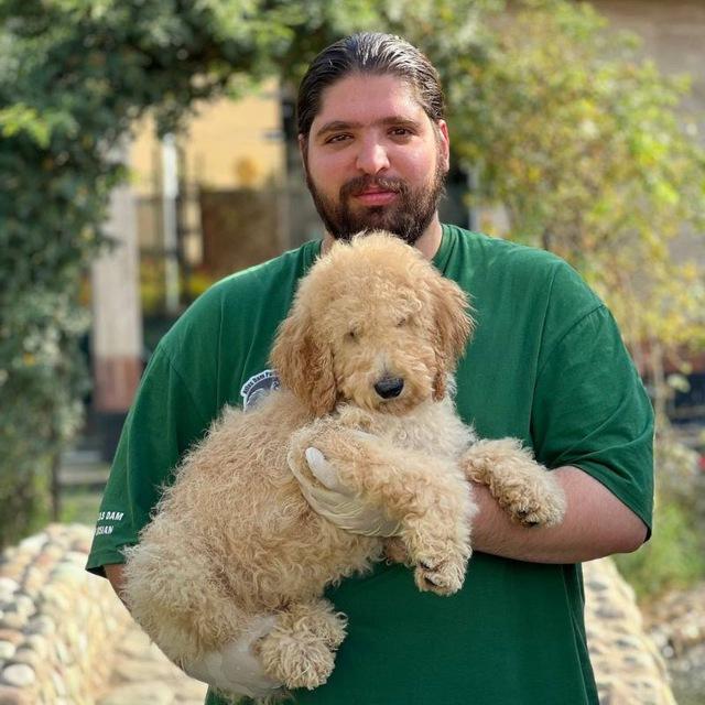 ✨توله های مجموعه_متین نزاکتی✨