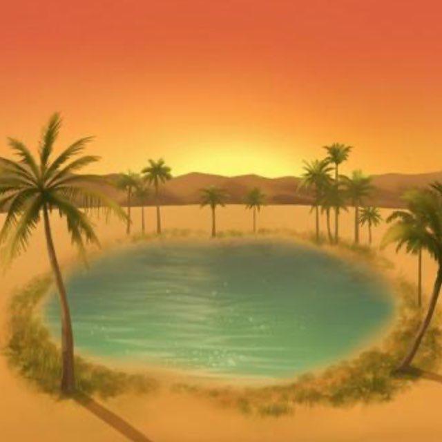 Oasis Calls 🏜️ /EVM ARK