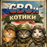 🇷🇺 СВОи котики 🇷🇺
