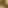 🪬11🪬ابو الذهب🪬11🪬