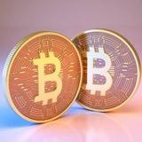 Crypto hunters team