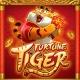 VIP FORTUNE TIGER 🎁🐯