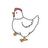 Hen Farm